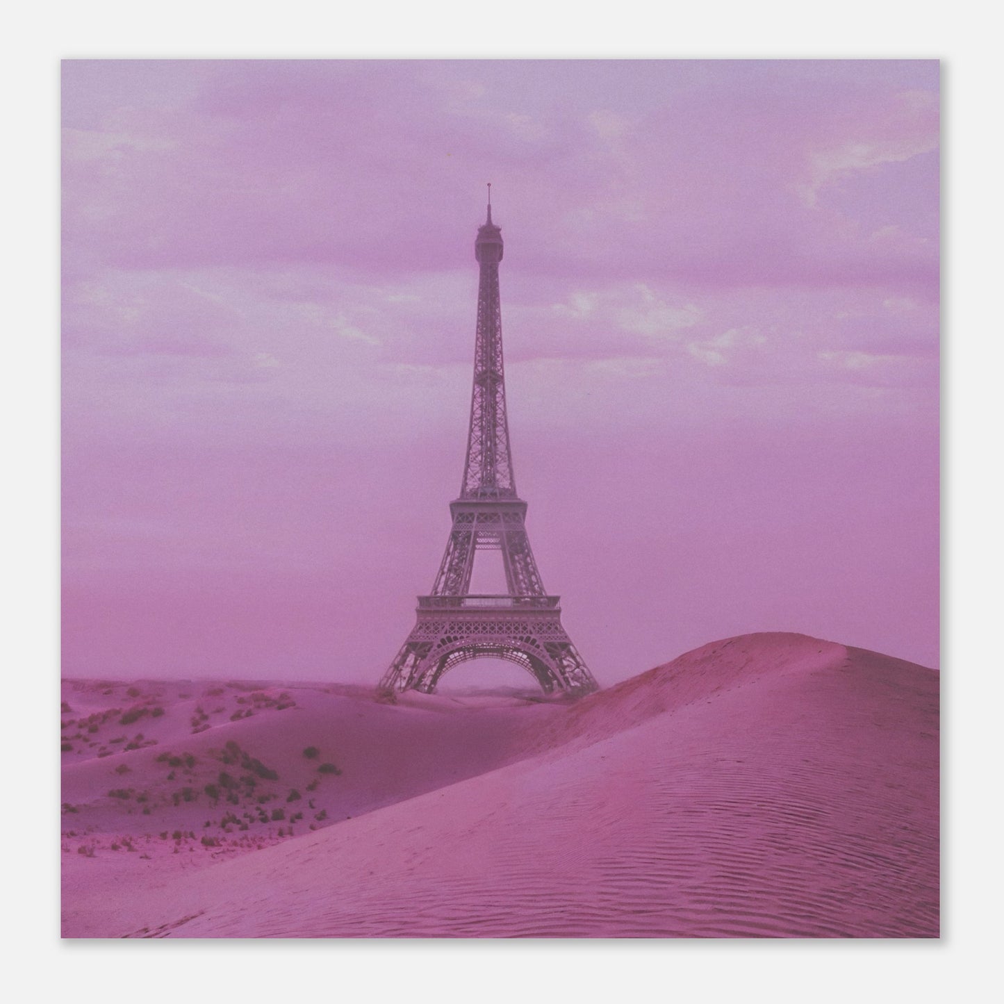 04537b38-1869-4c81-b8f4-19a31eb122c5