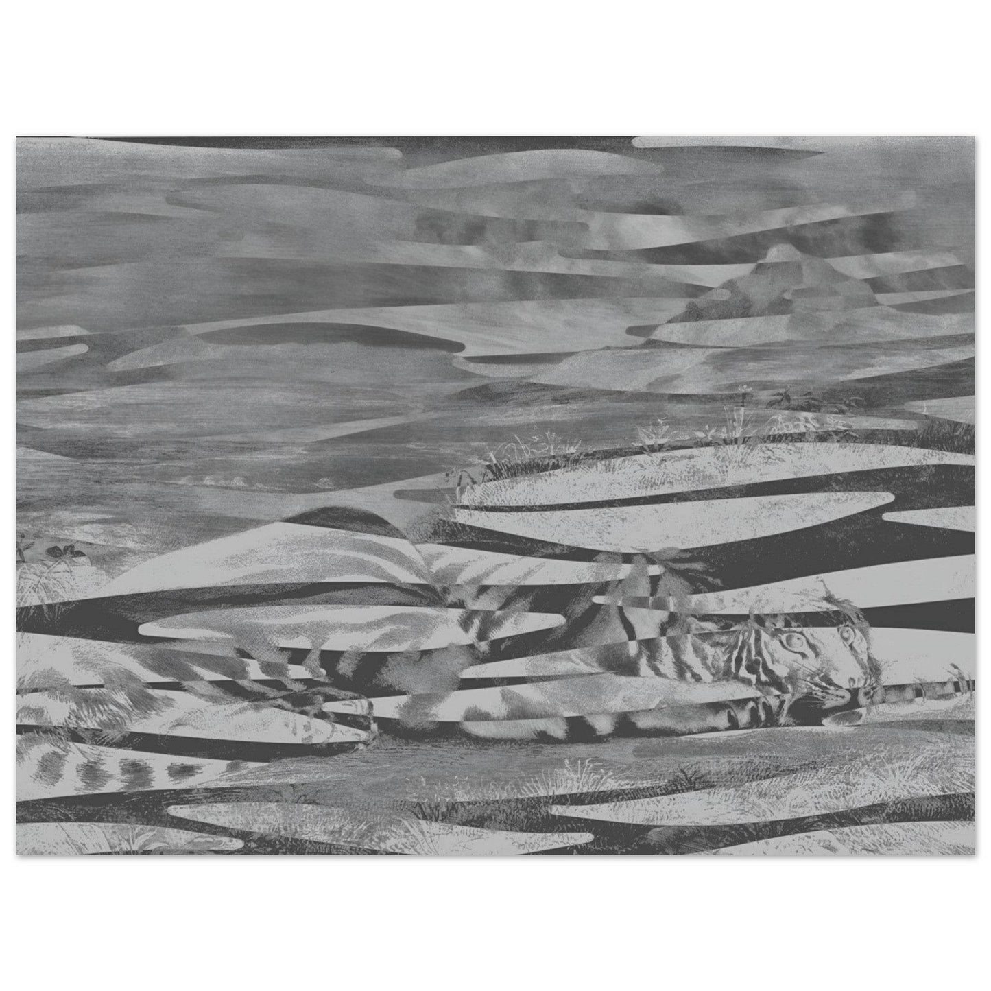 Resting Tiger Camouflage Wall art - The Aesthete