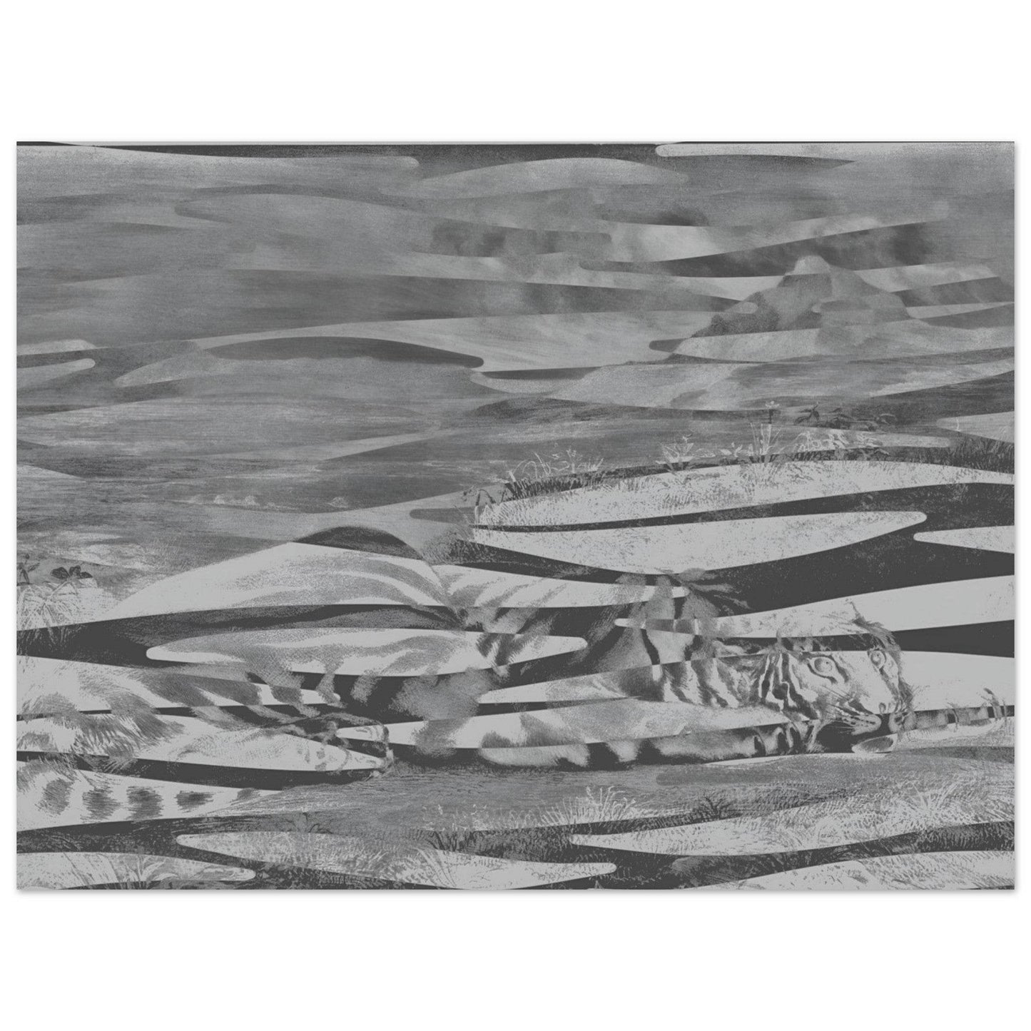 Resting Tiger Camouflage Wall art - The Aesthete