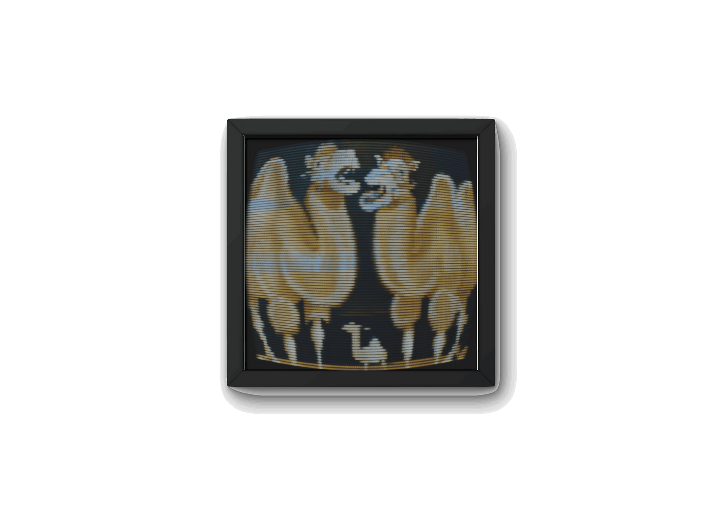 Glitched Camels - The Aesthete