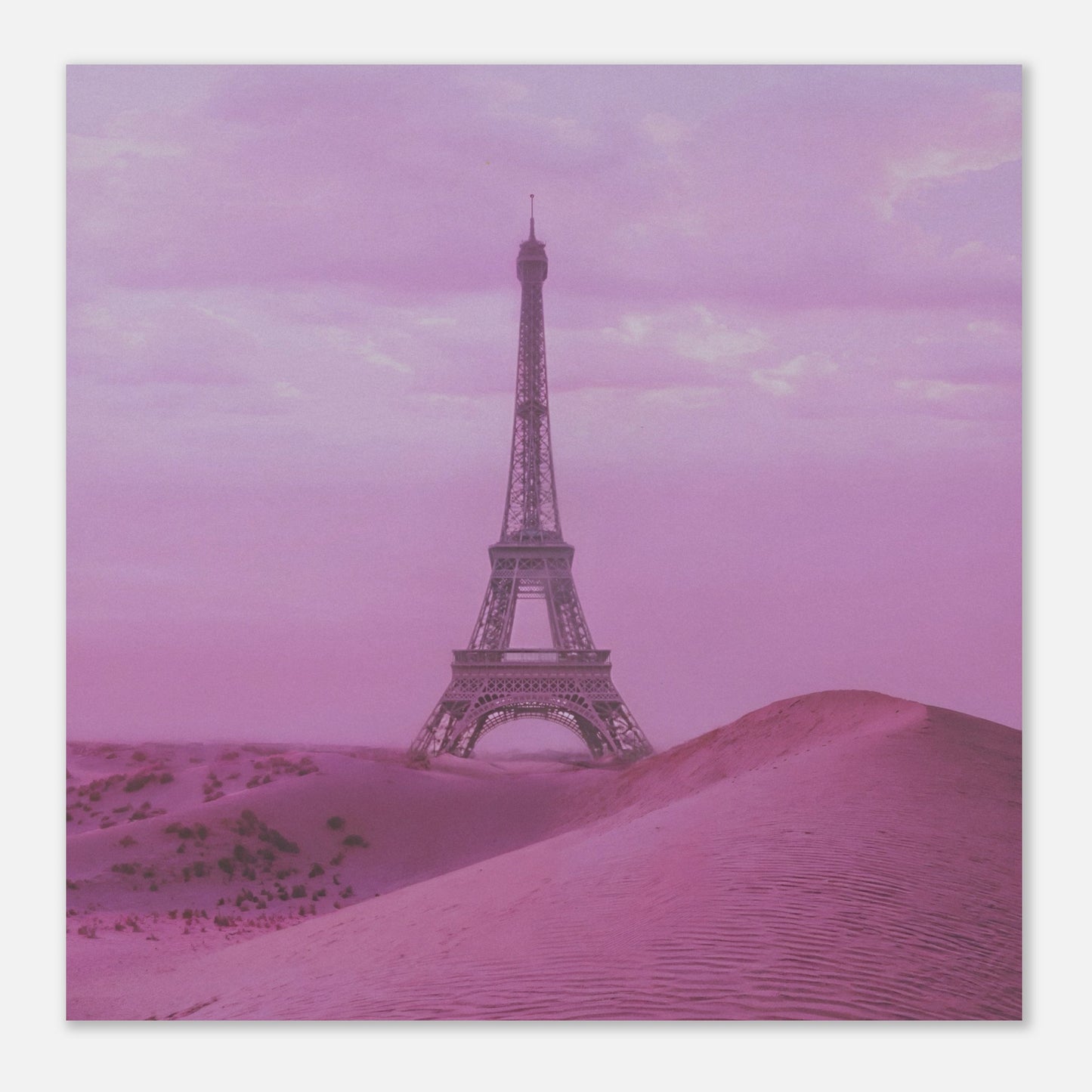 fee8d6f9-5249-4075-9f2d-ff056656957d