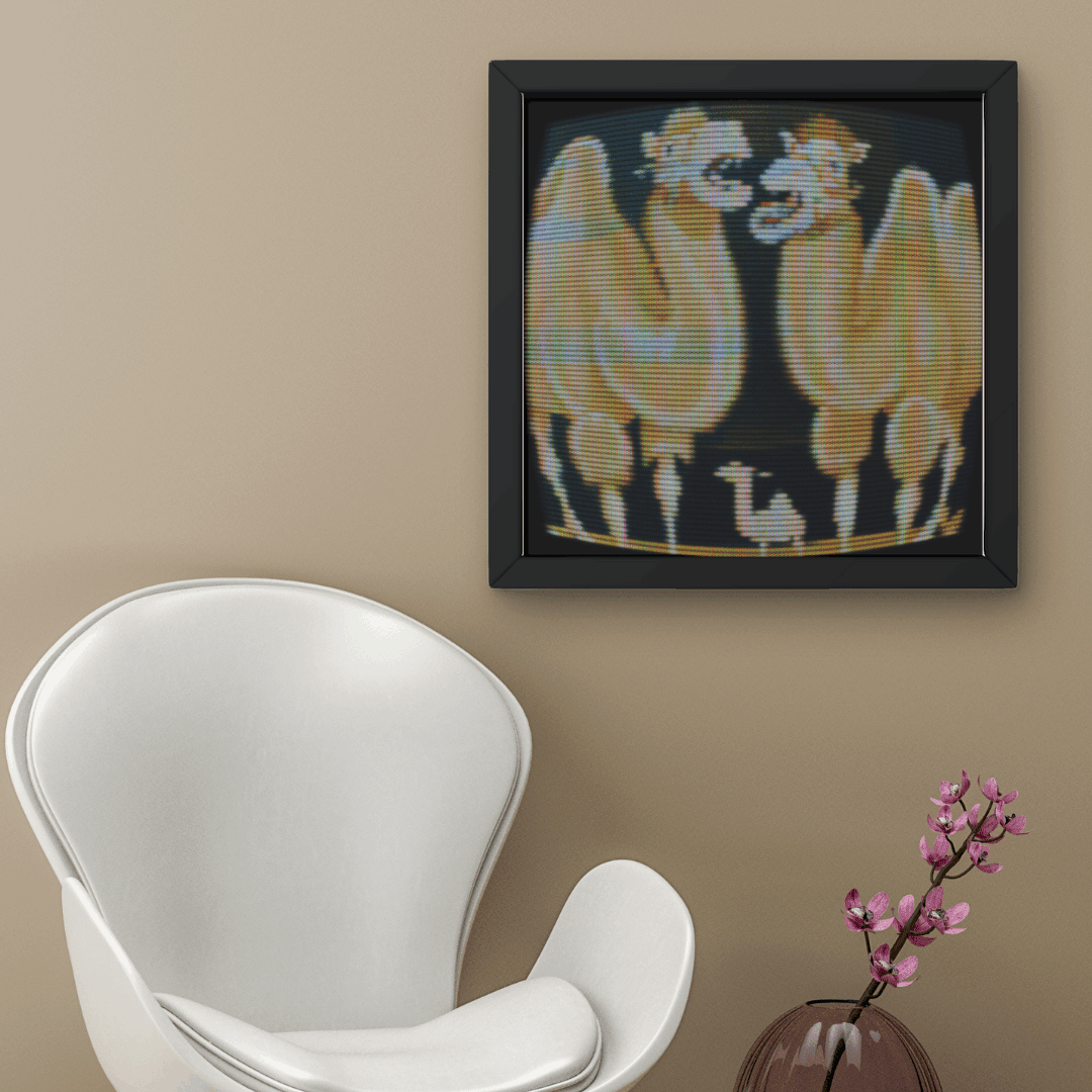 Glitched Camels - The Aesthete